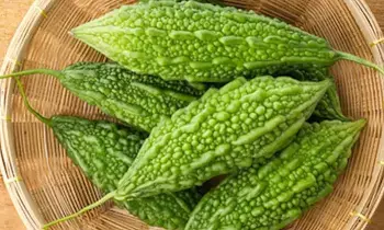 Bitter Gourd Curry: చేదు లేని కాకరకాయ కూర తయారీకి చిట్కాలు..
