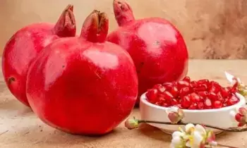Pomegranate: ఇలాంటి వాళ్ళు దానిమ్మ తినకూడదు