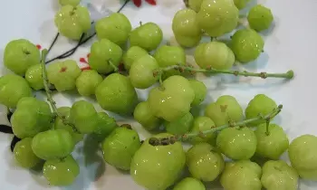 Amla (Indian Gooseberry): ఉసిరికాయ తింటే లాభాలు ఎంటీ?