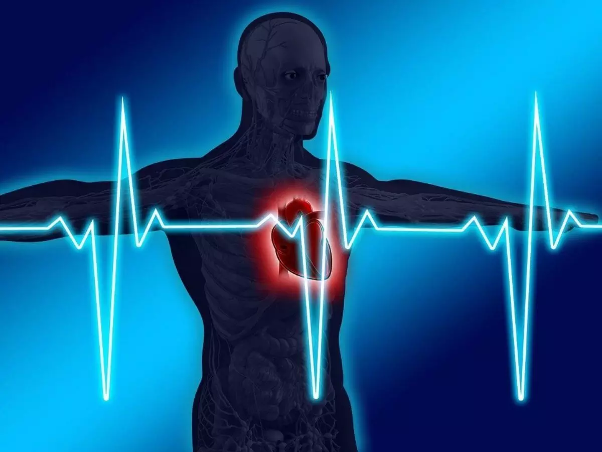 Heartbeat: గుండె వేగంగా కొట్టుకుంటే ప్రమాదమా? Heartbeat: గుండె వేగంగా కొట్టుకుంటే ప్రమాదమా?