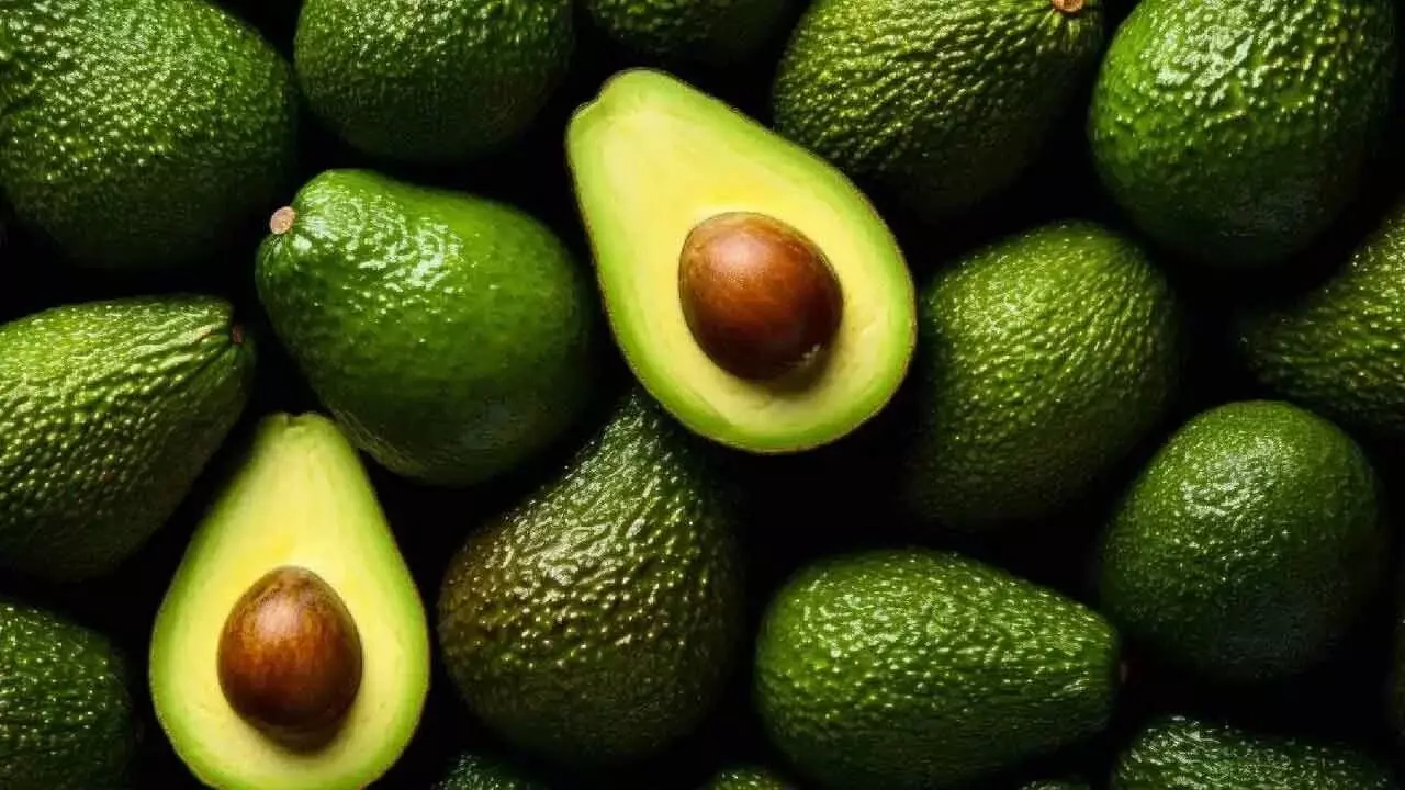 Avocado: అవకాడోతో అద్భుత ప్రయోజనాలు Avocado: అవకాడోతో అద్భుత ప్రయోజనాలు
