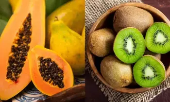 Boost Platelet Count: ప్లేట్‌లెట్స్ సంఖ్య పెంచే అద్భుతమైన పండ్లు ఇవే..