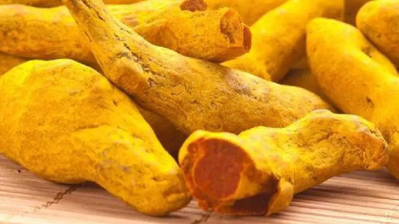 Significance of Turmeric in Sanatan Dharma: సనాతన ధర్మంలో పసుపు ప్రాముఖ్యత గురించి మీకు తెలుసా..? Significance of Turmeric in Sanatan Dharma: సనాతన ధర్మంలో పసుపు ప్రాముఖ్యత గురించి మీకు తెలుసా..?