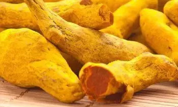 Significance of Turmeric in Sanatan Dharma: సనాతన ధర్మంలో పసుపు ప్రాముఖ్యత గురించి మీకు తెలుసా..?
