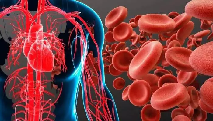 The Causes of Anemia: రక్తహీనతకు కారణాలేంటి.? The Causes of Anemia: రక్తహీనతకు కారణాలేంటి.?