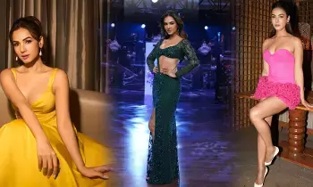 సొనాల్ చౌహాన్ క్లీవేజ్ షో