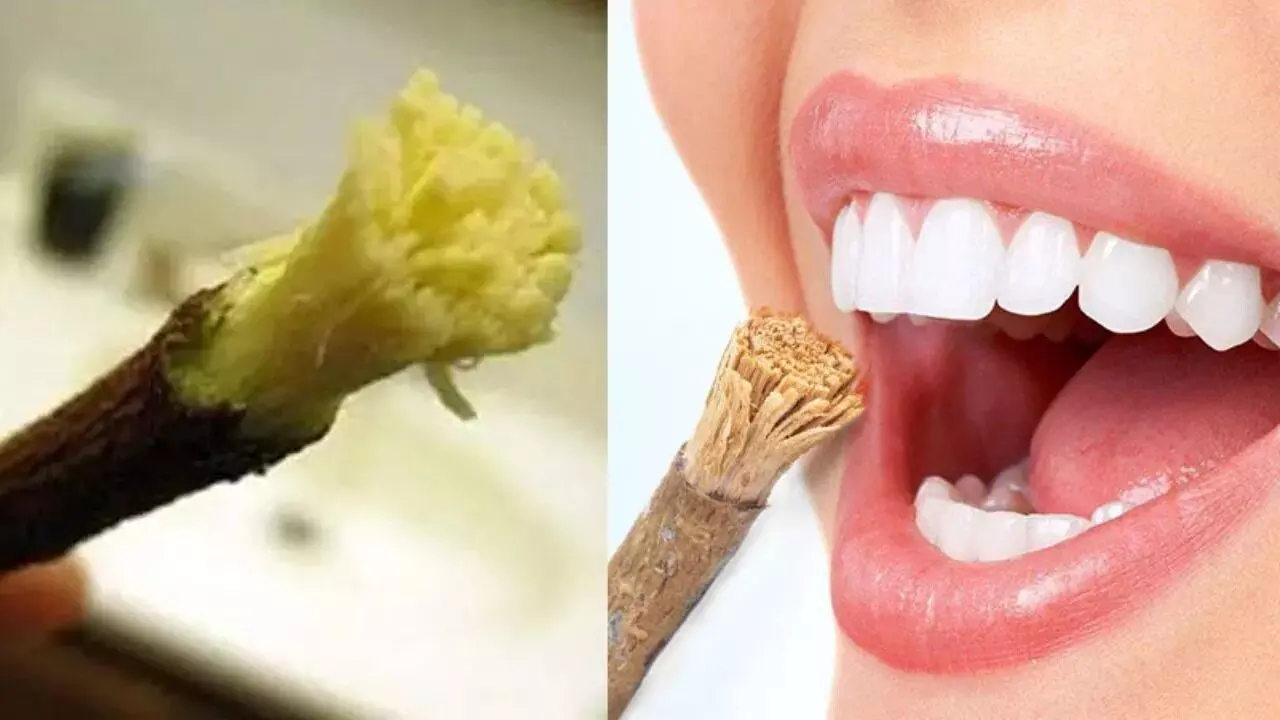 Neem leaves: టూత్ బ్రెష్ కాదు.. వీటితో దంతాలు తోముకుంటే ఎన్ని లాభాలో తెలుసా..? Neem leaves: టూత్ బ్రెష్ కాదు.. వీటితో దంతాలు తోముకుంటే ఎన్ని లాభాలో తెలుసా..?