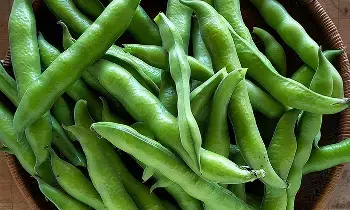 Eating Broad Beans: చిక్కుడు కాయ తింటే ఇన్ని ప్రయోజనాలా.? Eating Broad Beans: చిక్కుడు కాయ తింటే ఇన్ని ప్రయోజనాలా.?