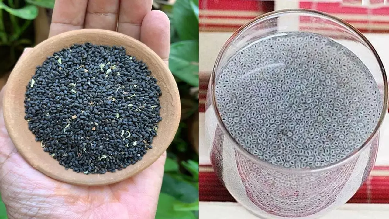 Sabja Seeds: సబ్జా గింజలతో అద్భుత ప్రయోజనాలు Sabja Seeds: సబ్జా గింజలతో అద్భుత ప్రయోజనాలు