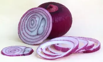 Onion: ఉల్లిగడ్డ కొలెస్ట్రాల్, షుగర్  ను అదుపులో ఉంచుతుందా?