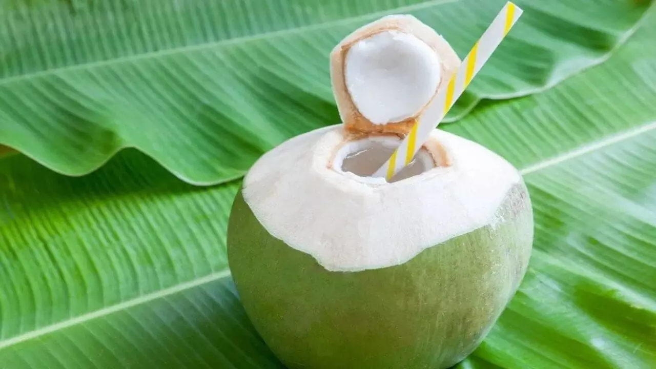 Coconut Water: కొబ్బరి నీళ్లు తాగుతున్నారా..? ఈ విషయాలు తప్పక తెలుసుకోండి.. Coconut Water: కొబ్బరి నీళ్లు తాగుతున్నారా..? ఈ విషయాలు తప్పక తెలుసుకోండి..