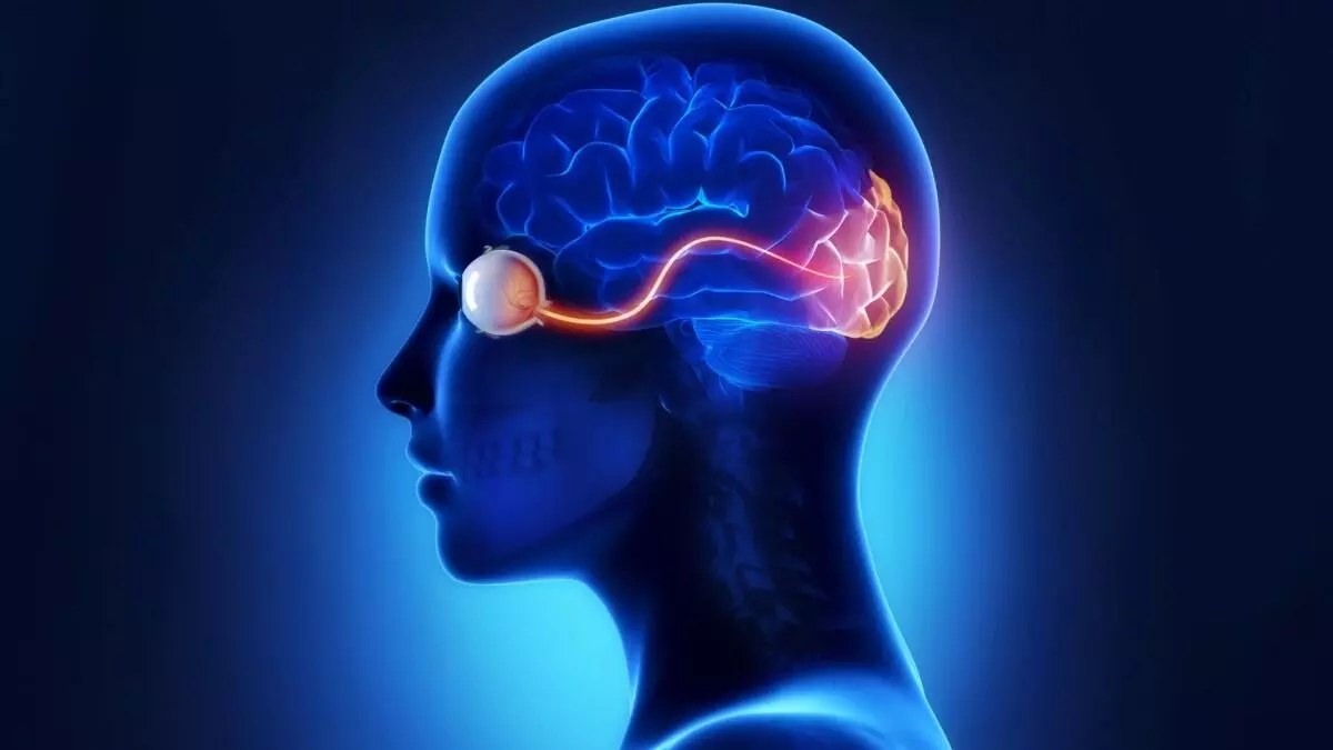 Alzheimer’s: మీకు ఈ లక్షణాలుంటే..అల్జీమర్స్ ఉన్నట్టే Alzheimer’s: మీకు ఈ లక్షణాలుంటే..అల్జీమర్స్ ఉన్నట్టే
