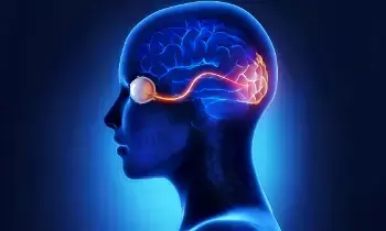 Alzheimer’s: మీకు ఈ లక్షణాలుంటే..అల్జీమర్స్ ఉన్నట్టే