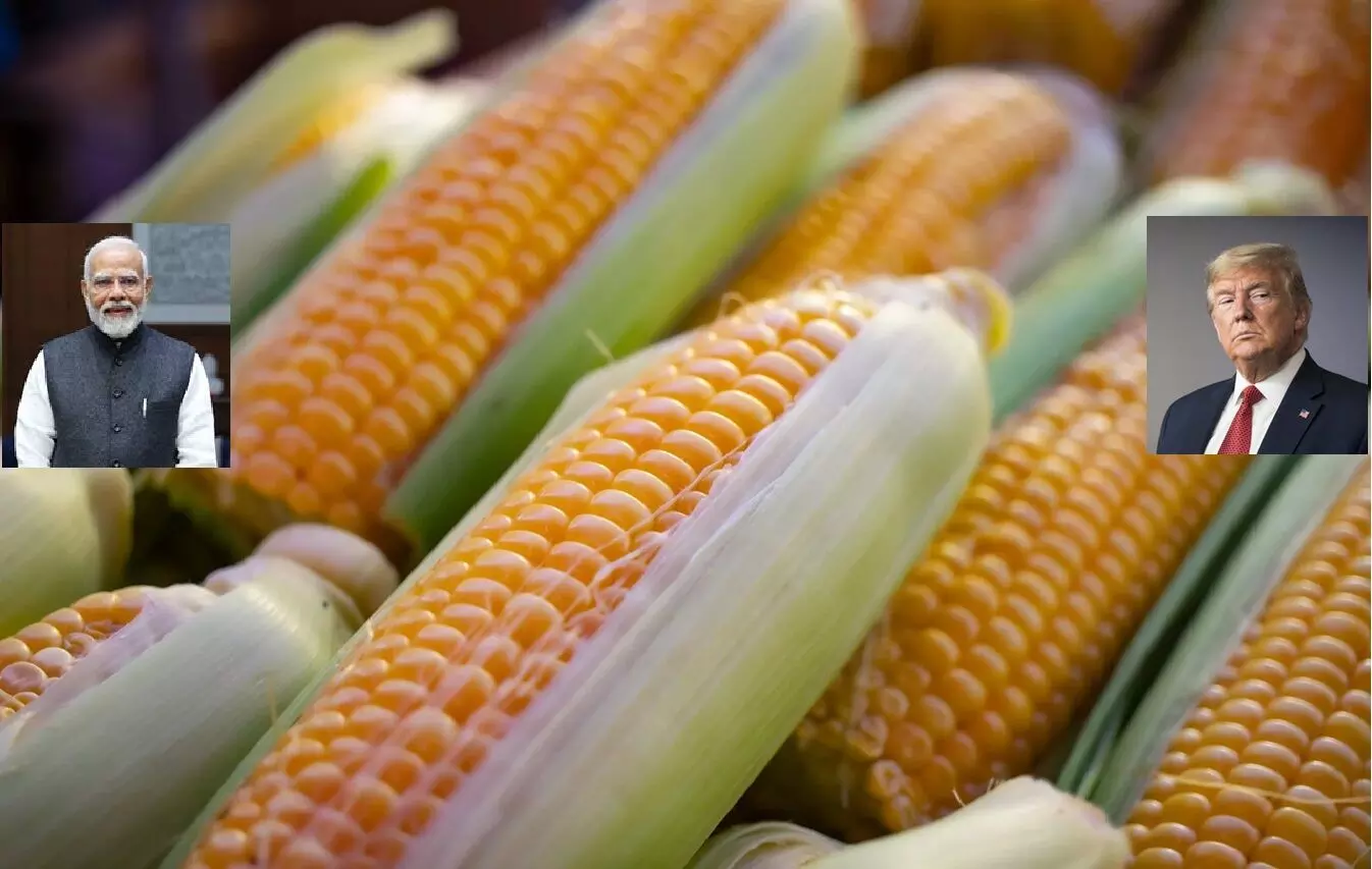 US-India Corn Import Deal: అమెరికా-భారత్ మొక్కజొన్న దిగుమతి ఒప్పందం: రైతుల ఆందోళనల మధ్య కొత్త అధ్యాయం US-India Corn Import Deal: అమెరికా-భారత్ మొక్కజొన్న దిగుమతి ఒప్పందం: రైతుల ఆందోళనల మధ్య కొత్త అధ్యాయం