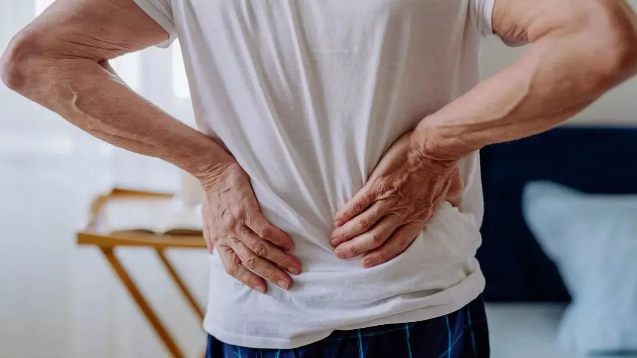 Spine Health at Risk: వెన్నెముక ఆరోగ్యం.. ఈ ఆహారాలకు దూరంగా ఉండకపోతే అంతే సంగతులు.. Spine Health at Risk: వెన్నెముక ఆరోగ్యం.. ఈ ఆహారాలకు దూరంగా ఉండకపోతే అంతే సంగతులు..