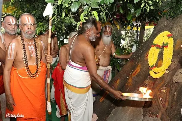 Grand Bagh Savari Festival Celebrated in Tirumala: తిరుమలలో కన్నులపండువగా భాగ్ సవారి ఉత్సవం Grand Bagh Savari Festival Celebrated in Tirumala: తిరుమలలో కన్నులపండువగా భాగ్ సవారి ఉత్సవం