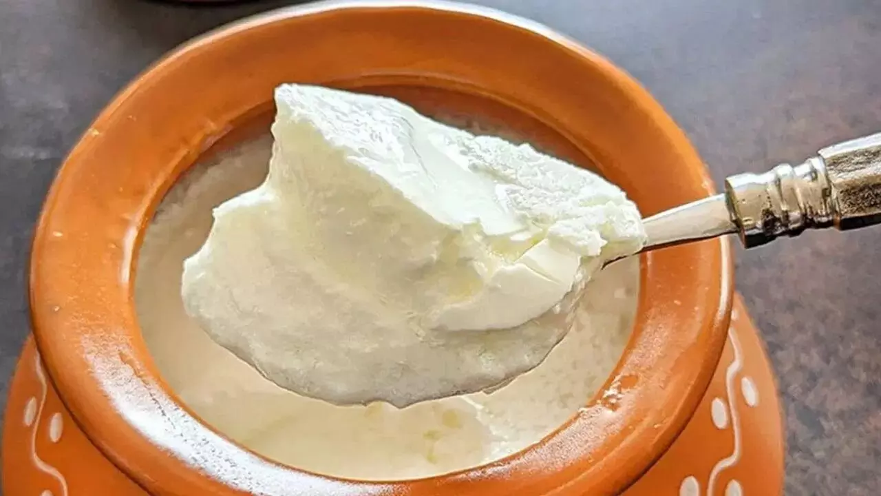 Eat Curd Every Day: రోజూ పెరుగు తింటే ఏమవుతుంది.? Eat Curd Every Day: రోజూ పెరుగు తింటే ఏమవుతుంది.?