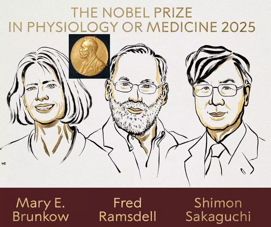 Nobel Prize 2025: నోబెల్ బహుమతి-2025: వైద్యశాస్త్రంలో మూడు మందికి గొప్ప గుర్తింపు! Nobel Prize 2025: నోబెల్ బహుమతి-2025: వైద్యశాస్త్రంలో మూడు మందికి గొప్ప గుర్తింపు!