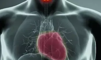 Thyroid Issue:  థైరాయిడ్ సమస్య: గుండెకు పొంచి ఉన్న పెను ముప్పు!