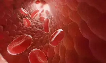 Blood Cells: రక్తకణాలు అంటే ఏంటి..ఎలా ఏర్పడుతుంది.?