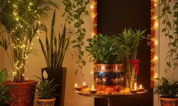Goddess Lakshmi’s Blessings: లక్ష్మీదేవి కటాక్షం కోసం ఇంట్లో నాటాల్సిన శ్రేయస్సు మొక్కలు ఇవే..