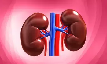 Damage Your Kidneys: ఉదయం పూట చేసే ఈ 5 తప్పులు మీ కిడ్నీలను దెబ్బతీస్తాయ్..