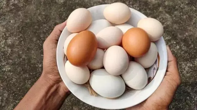 Eggs Should You Eat Per Day: రోజుకు ఎన్ని గుడ్లు తినాలి..? అధిక కొలెస్ట్రాల్ ఉన్నవారు ఏం చేయాలి..? Eggs Should You Eat Per Day: రోజుకు ఎన్ని గుడ్లు తినాలి..? అధిక కొలెస్ట్రాల్ ఉన్నవారు ఏం చేయాలి..?