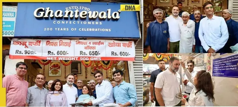 Marriage Advice for Rahul Gandhi: రాహుల్ గాంధీకి పెళ్లి సలహా: త్వరగా వివాహం చేసుకోండి.. స్వీట్స్ ఆర్డర్ మాకే ఇవ్వండి అన్న ఢిల్లీ స్వీట్ షాప్ యజమాని! Marriage Advice for Rahul Gandhi: రాహుల్ గాంధీకి పెళ్లి సలహా: త్వరగా వివాహం చేసుకోండి.. స్వీట్స్ ఆర్డర్ మాకే ఇవ్వండి అన్న ఢిల్లీ స్వీట్ షాప్ యజమాని!