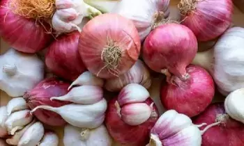 Karthika Masam: కార్తీక మాసం: ఉల్లిపాయ, వెల్లుల్లి ఎందుకు తినకూడదు? Karthika Masam: కార్తీక మాసం: ఉల్లిపాయ, వెల్లుల్లి ఎందుకు తినకూడదు?