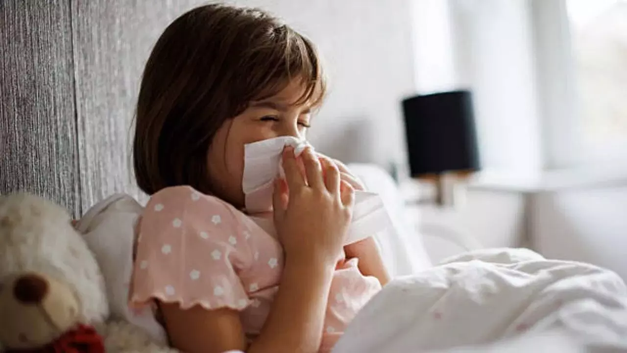 Respiratory Problems in Children: పిల్లల్లో శ్వాసకోశ సమస్యలా..? ఈ 5 చిట్కాలు పాటిస్తే చాలు.. Respiratory Problems in Children: పిల్లల్లో శ్వాసకోశ సమస్యలా..? ఈ 5 చిట్కాలు పాటిస్తే చాలు..
