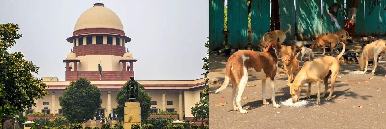 Supreme Court Expresses Strong Anger: భారత్ పరువు తీస్తున్నారు: వీధి కుక్కల అరటి చర్యల్లో రాష్ట్రాలు విఫలం.. సుప్రీం కోర్టు తీవ్ర ఆగ్రహం! Supreme Court Expresses Strong Anger: భారత్ పరువు తీస్తున్నారు: వీధి కుక్కల అరటి చర్యల్లో రాష్ట్రాలు విఫలం.. సుప్రీం కోర్టు తీవ్ర ఆగ్రహం!