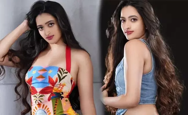 Another Successor from Superstar Krishna’s Family: సూపర్ స్టార్ కృష్ణ కుటుంబం నుంచి మరో వారసురాలు Another Successor from Superstar Krishna’s Family: సూపర్ స్టార్ కృష్ణ కుటుంబం నుంచి మరో వారసురాలు