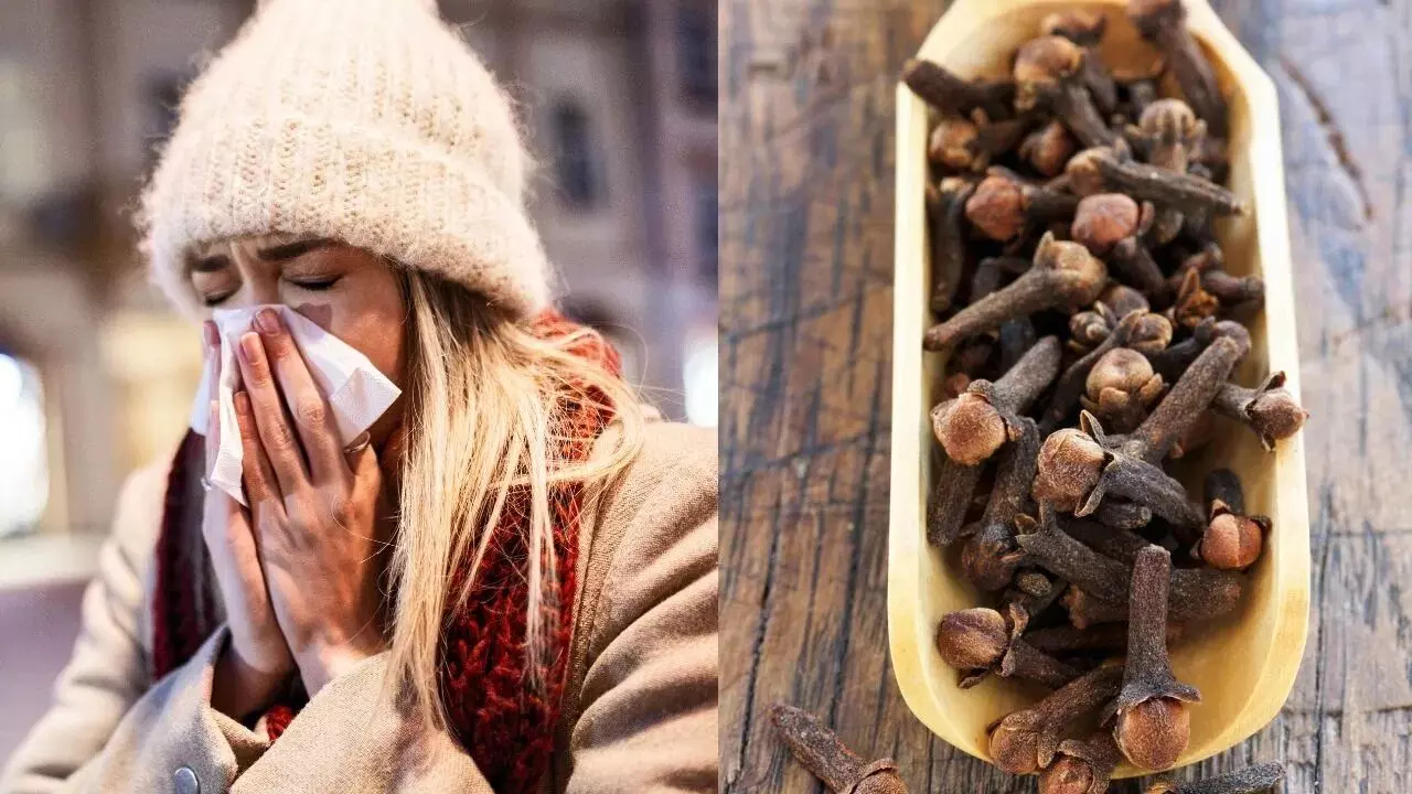 Grandma’s Home Remedy: అమ్మమ్మల ఇంటి వైద్యం.. దగ్గు, జలుబుకు లవంగంతో చెక్.. Grandma’s Home Remedy: అమ్మమ్మల ఇంటి వైద్యం.. దగ్గు, జలుబుకు లవంగంతో చెక్..