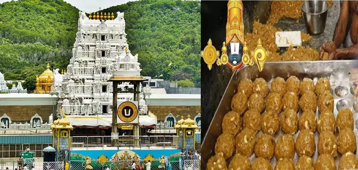 Tirumala Laddu Adulterated Ghee Case: తిరుమల లడ్డూ కల్తీ నెయ్యి కేసు: చిన్న అప్పన్న అరెస్టుతో కీలక మలుపు.. భారీ కుట్ర వెలుగులోకి Tirumala Laddu Adulterated Ghee Case: తిరుమల లడ్డూ కల్తీ నెయ్యి కేసు: చిన్న అప్పన్న అరెస్టుతో కీలక మలుపు.. భారీ కుట్ర వెలుగులోకి