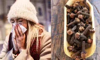 Grandma’s Home Remedy:  అమ్మమ్మల ఇంటి వైద్యం.. దగ్గు, జలుబుకు లవంగంతో చెక్..