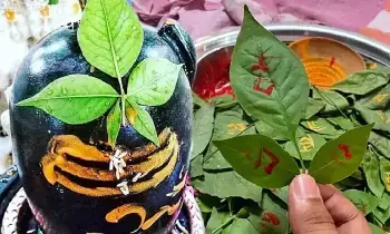 Karthika Masam: కార్తీక మాసంలో శివుడికి ఈ ఒక్క ఆకు సమర్పిస్తే చాలు.. సమస్త కష్టాలు దూరం Karthika Masam: కార్తీక మాసంలో శివుడికి ఈ ఒక్క ఆకు సమర్పిస్తే చాలు.. సమస్త కష్టాలు దూరం