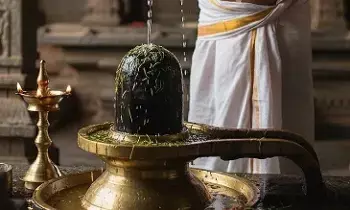Performing Abhishekam to Lord Shiva with Garika Water: పరమేశ్వరుడికి గరిక నీటి అభిషేకం విశిష్టత! Performing Abhishekam to Lord Shiva with Garika Water: పరమేశ్వరుడికి గరిక నీటి అభిషేకం విశిష్టత!
