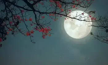 Bharani Nakshatra Falling on Kartika Purnima: వందేళ్ల తర్వాత ఇలా..కార్తీక పౌర్ణమి రోజున భరణి నక్షత్రం Bharani Nakshatra Falling on Kartika Purnima: వందేళ్ల తర్వాత ఇలా..కార్తీక పౌర్ణమి రోజున భరణి నక్షత్రం