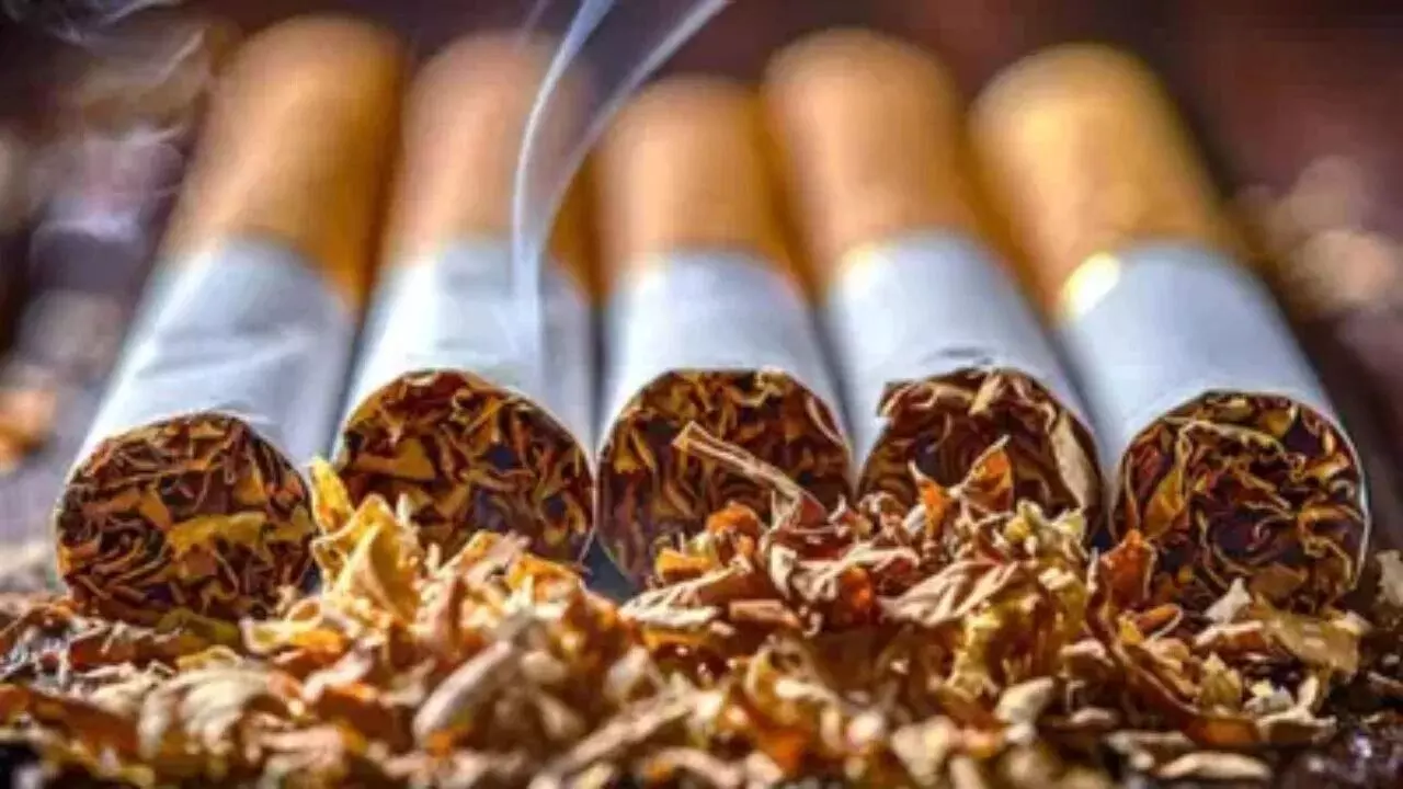 Tobacco Tax Hike : పాన్ మసాలా, పొగాకు మరింత ప్రియం.. బడ్జెట్లో కొత్త పన్ను ప్రకటన? Tobacco Tax Hike : పాన్ మసాలా, పొగాకు మరింత ప్రియం.. బడ్జెట్లో కొత్త పన్ను ప్రకటన?