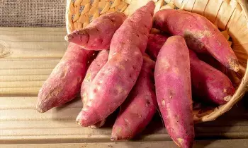 Health Benefits of Sweet Potato: చలికాలపు సూపర్ ఫుడ్.. చిలగడదుంపతో 6 అద్భుత ఆరోగ్య ప్రయోజనాలు Health Benefits of Sweet Potato: చలికాలపు సూపర్ ఫుడ్.. చిలగడదుంపతో 6 అద్భుత ఆరోగ్య ప్రయోజనాలు