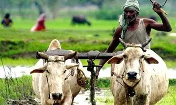 Annadata Sukhibhava:  అన్నదాత సుఖీభవ: ఏపీ రైతులకు గుడ్‌న్యూస్.. 19న రూ.7 వేలు ఖాతాల్లో జమ
