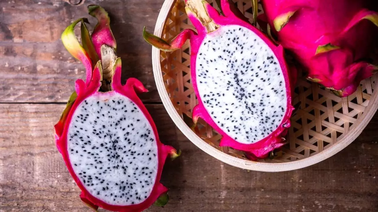 Eat Dragon Fruit in Winter: చలికాలంలో డ్రాగన్ ఫ్రూట్ తింటే ఏమవుతుందో తెలుసా.. ? Eat Dragon Fruit in Winter: చలికాలంలో డ్రాగన్ ఫ్రూట్ తింటే ఏమవుతుందో తెలుసా.. ?