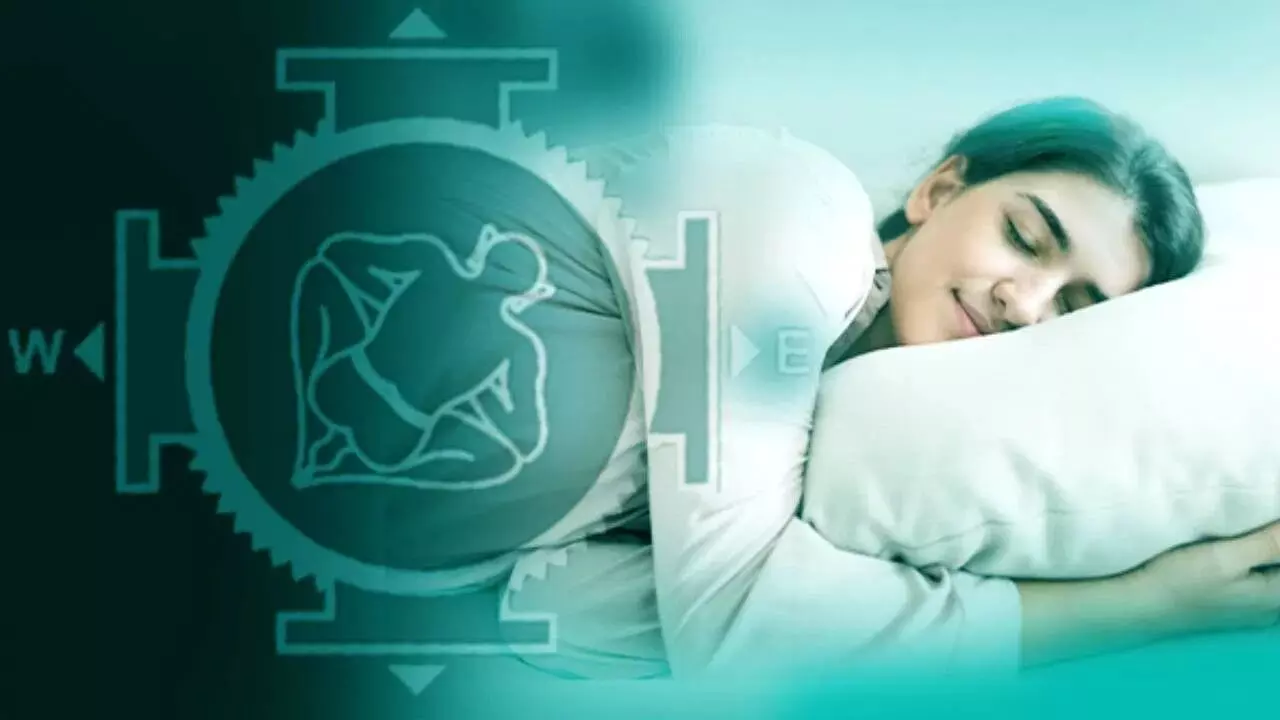 Avoid Sleeping with Your Head Towards the North: ఉత్తరం వైపు తల పెట్టి ఎందుకు నిద్రించకూడదు..? Avoid Sleeping with Your Head Towards the North: ఉత్తరం వైపు తల పెట్టి ఎందుకు నిద్రించకూడదు..?