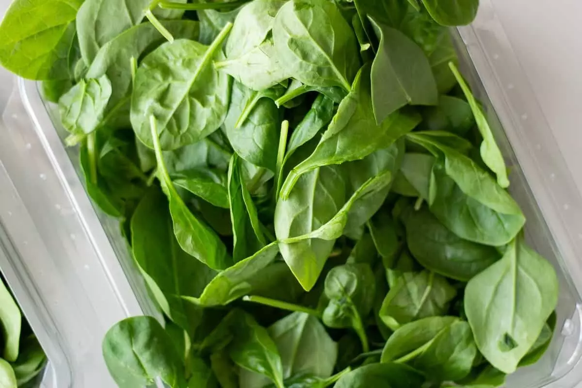 Health Benefits of Bachalakura (Malabar Spinach): ఆకుకూరల రారాజు బచ్చలికూరతో అద్భుత ప్రయోజనాలు Health Benefits of Bachalakura (Malabar Spinach): ఆకుకూరల రారాజు బచ్చలికూరతో అద్భుత ప్రయోజనాలు