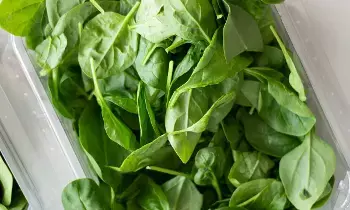 Health Benefits of Bachalakura (Malabar Spinach): ఆకుకూరల రారాజు బచ్చలికూరతో అద్భుత ప్రయోజనాలు Health Benefits of Bachalakura (Malabar Spinach): ఆకుకూరల రారాజు బచ్చలికూరతో అద్భుత ప్రయోజనాలు