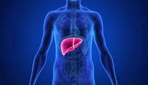Silent killers of the liver: కాలేయానికి సైలెంట్ కిల్లర్స్.. ఇవి ఆల్కహాల్ కంటే ప్రమాదకరమైనవి.. Silent killers of the liver: కాలేయానికి సైలెంట్ కిల్లర్స్.. ఇవి ఆల్కహాల్ కంటే ప్రమాదకరమైనవి..