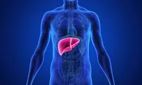 Silent killers of the liver: కాలేయానికి సైలెంట్ కిల్లర్స్.. ఇవి ఆల్కహాల్ కంటే ప్రమాదకరమైనవి.. Silent killers of the liver: కాలేయానికి సైలెంట్ కిల్లర్స్.. ఇవి ఆల్కహాల్ కంటే ప్రమాదకరమైనవి..