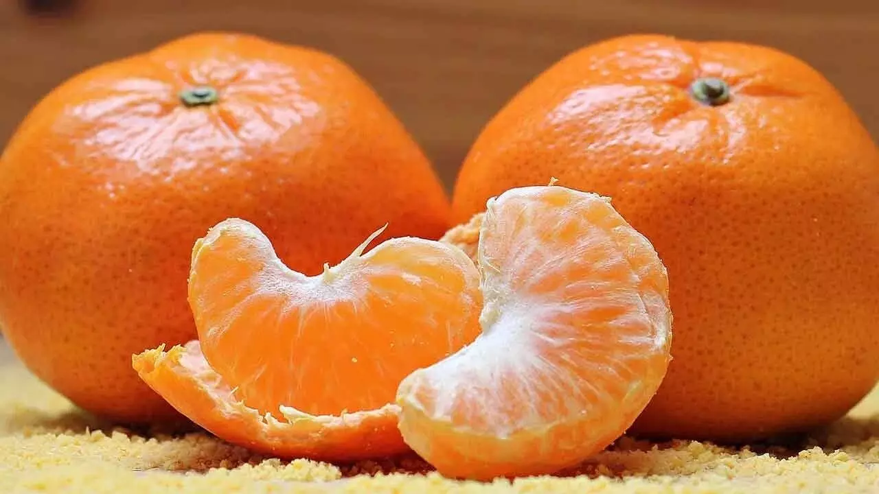 Vitamin C: నారింజ మాత్రమే కాదు.. వీటిలో విటమిన్ సి మరింత ఎక్కువ Vitamin C: నారింజ మాత్రమే కాదు.. వీటిలో విటమిన్ సి మరింత ఎక్కువ