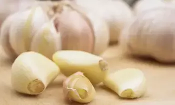 Green Garlic A Natural Remedy for Health: ఆరోగ్యానికి రామబాణం పచ్చి వెల్లుల్లి.. ప్రతి రోజూ తింటే అద్భుత ప్రయోజనాలు.. Green Garlic A Natural Remedy for Health: ఆరోగ్యానికి రామబాణం పచ్చి వెల్లుల్లి.. ప్రతి రోజూ తింటే అద్భుత ప్రయోజనాలు..