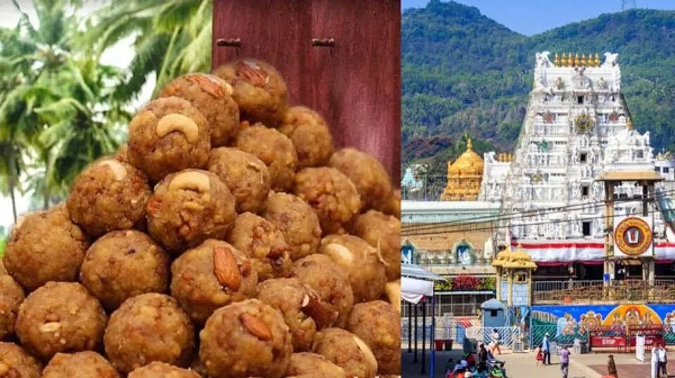 TTD Ghee Scam: టీటీడీ కల్తీ నెయ్యి కేసు: సిట్ మరో 11 మందిని నిందితులుగా చేర్చింది TTD Ghee Scam: టీటీడీ కల్తీ నెయ్యి కేసు: సిట్ మరో 11 మందిని నిందితులుగా చేర్చింది